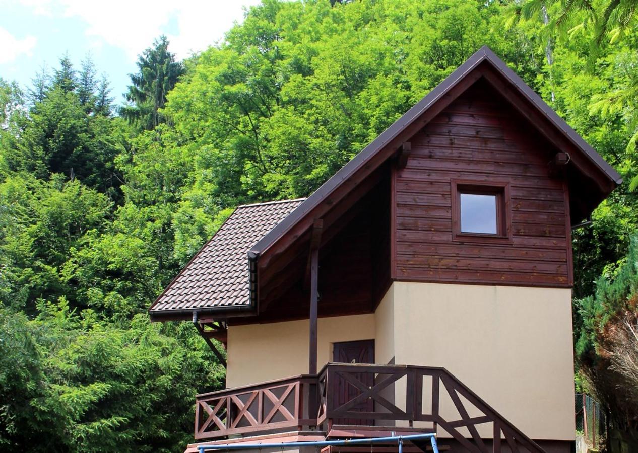 Zawoja Chaty Gorskie D4 Bagian luar foto