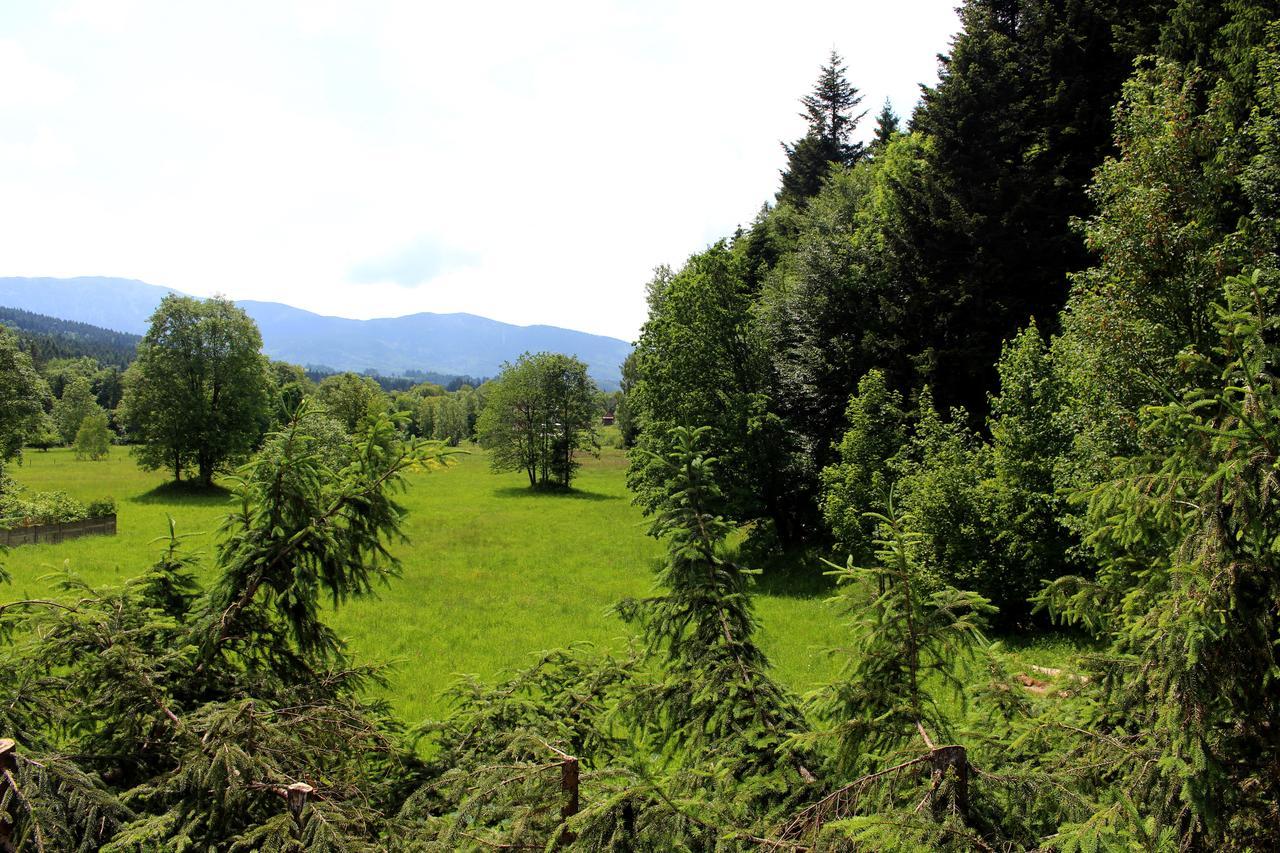 Zawoja Chaty Gorskie D4 Bagian luar foto